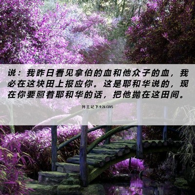Picture 06 - 列 王 记 下 9:26 CUVS - 说 ： 我 昨 日 看 见 拿 伯 的 血 和 - Bible Verse Picture