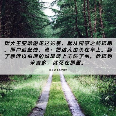 Picture 06 - 列 王 记 下 9:27 CUVS - 犹 大 王 亚 哈 谢 见 这 光 景 ， 就 - Bible Verse Picture