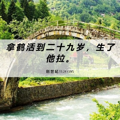 Picture 06 - 创 世 纪 11:24 CUVS - 拿 鹤 活 到 二 十 九 岁 ， 生 了 他 - Bible Verse Picture