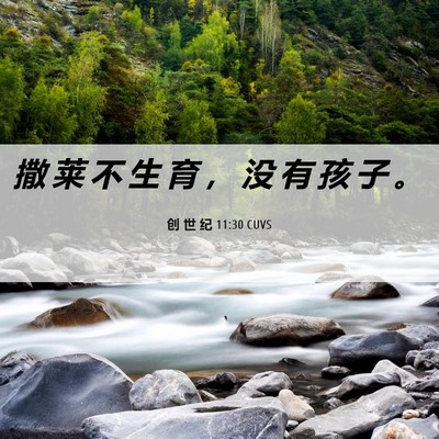 Picture 06 - 创 世 纪 11:30 CUVS - 撒 莱 不 生 育 ， 没 有 孩 子 - Bible Verse Picture