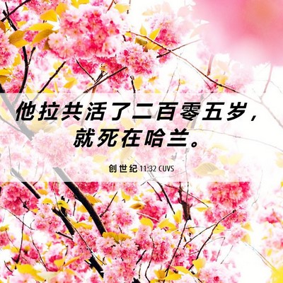 Picture 06 - 创 世 纪 11:32 CUVS - 他 拉 共 活 了 二 百 零 五 岁 ， 就 - Bible Verse Picture