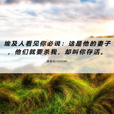 Picture 06 - 创 世 纪 12:12 CUVS - 埃 及 人 看 见 你 必 说 ： 这 是 他 - Bible Verse Picture