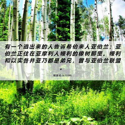 Picture 06 - 创 世 纪 14:13 CUVS - 有 一 个 逃 出 来 的 人 告 诉 希 伯 - Bible Verse Picture