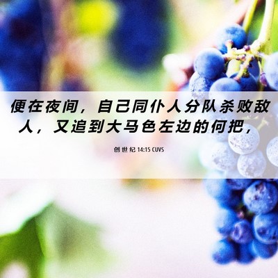 Picture 06 - 创 世 纪 14:15 CUVS - 便 在 夜 间 ， 自 己 同 仆 人 分 队 - Bible Verse Picture