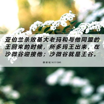 Picture 06 - 创 世 纪 14:17 CUVS - 亚 伯 兰 杀 败 基 大 老 玛 和 与 他 - Bible Verse Picture
