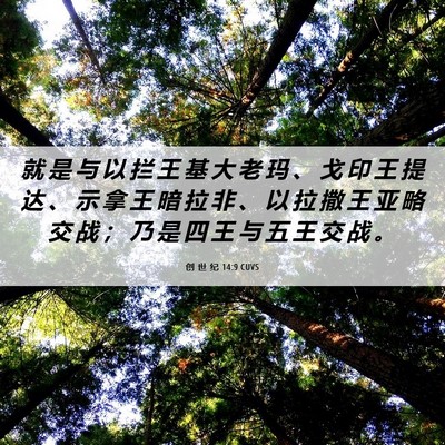 Picture 06 - 创 世 纪 14:9 CUVS - 就 是 与 以 拦 王 基 大 老 玛 、 戈 - Bible Verse Picture
