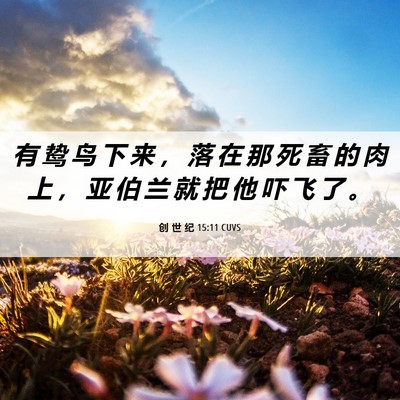 Picture 06 - 创 世 纪 15:11 CUVS - 有 鸷 鸟 下 来 ， 落 在 那 死 畜 的 - Bible Verse Picture