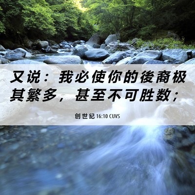 Picture 06 - 创 世 纪 16:10 CUVS - 又 说 ： 我 必 使 你 的 後 裔 极 其 - Bible Verse Picture