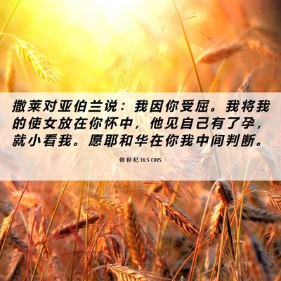 Picture 06 - 创 世 纪 16:5 CUVS - 撒 莱 对 亚 伯 兰 说 ： 我 因 你 受 - Bible Verse Picture