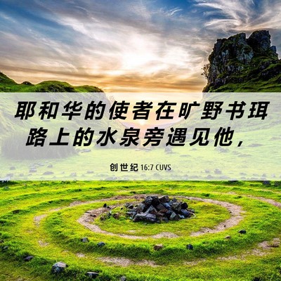 Picture 06 - 创 世 纪 16:7 CUVS - 耶 和 华 的 使 者 在 旷 野 书 珥 路 - Bible Verse Picture
