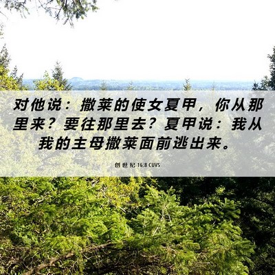 Picture 06 - 创 世 纪 16:8 CUVS - 对 他 说 ： 撒 莱 的 使 女 夏 甲 ， - Bible Verse Picture