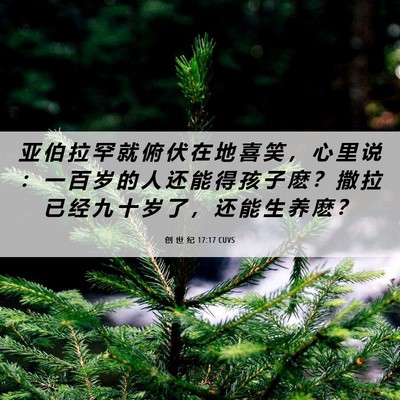 Picture 06 - 创 世 纪 17:17 CUVS - 亚 伯 拉 罕 就 俯 伏 在 地 喜 笑 ， - Bible Verse Picture