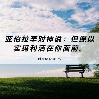 Picture 06 - 创 世 纪 17:18 CUVS - 亚 伯 拉 罕 对 神 说 ： 但 愿 以 实 - Bible Verse Picture
