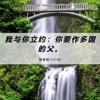 Picture 06 - 创 世 纪 17:4 CUVS - 我 与 你 立 约 ： 你 要 作 多 国 的 - Bible Verse Picture
