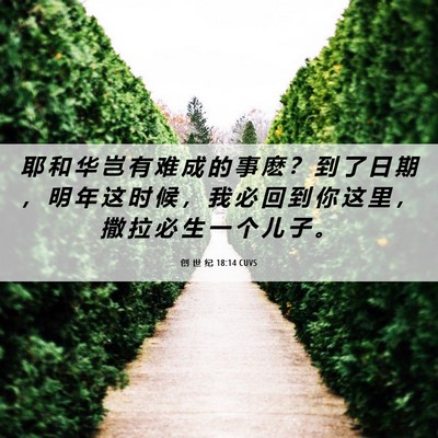 Picture 06 - 创 世 纪 18:14 CUVS - 耶 和 华 岂 有 难 成 的 事 麽 ？ 到 - Bible Verse Picture