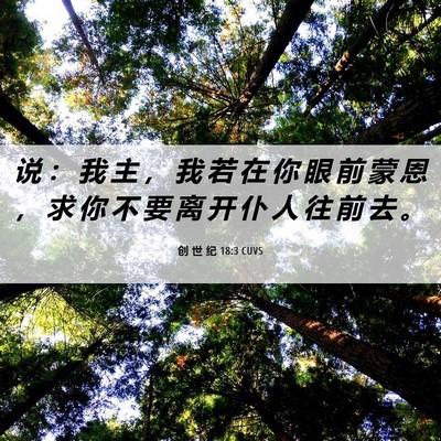 Picture 06 - 创 世 纪 18:3 CUVS - 说 ： 我 主 ， 我 若 在 你 眼 前 蒙 - Bible Verse Picture