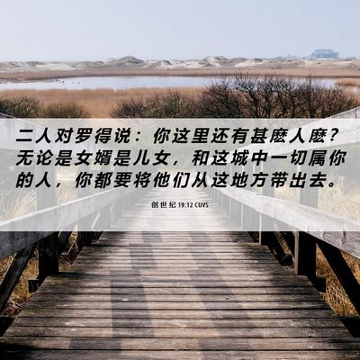 Picture 06 - 创 世 纪 19:12 CUVS - 二 人 对 罗 得 说 ： 你 这 里 还 有 - Bible Verse Picture