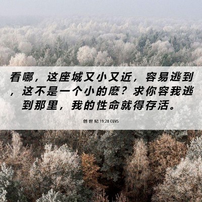 Picture 06 - 创 世 纪 19:20 CUVS - 看 哪 ， 这 座 城 又 小 又 近 ， 容 - Bible Verse Picture