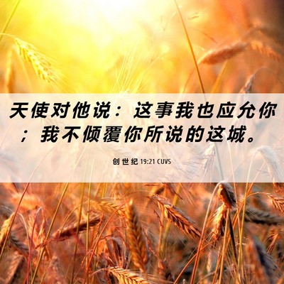 Picture 06 - 创 世 纪 19:21 CUVS - 天 使 对 他 说 ： 这 事 我 也 应 允 - Bible Verse Picture
