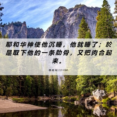 Picture 06 - 创 世 纪 2:21 CUVS - 耶 和 华 神 使 他 沉 睡 ， 他 就 睡 - Bible Verse Picture