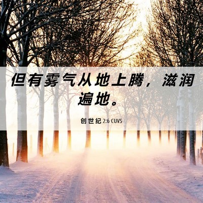Picture 06 - 创 世 纪 2:6 CUVS - 但 有 雾 气 从 地 上 腾 ， 滋 润 遍 - Bible Verse Picture