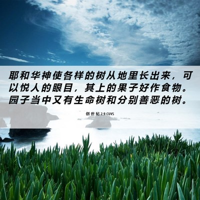 Picture 06 - 创 世 纪 2:9 CUVS - 耶 和 华 神 使 各 样 的 树 从 地 里 - Bible Verse Picture