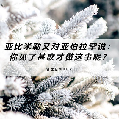 Picture 06 - 创 世 纪 20:10 CUVS - 亚 比 米 勒 又 对 亚 伯 拉 罕 说 ： - Bible Verse Picture