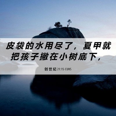 Picture 06 - 创 世 纪 21:15 CUVS - 皮 袋 的 水 用 尽 了 ， 夏 甲 就 把 - Bible Verse Picture