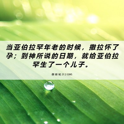 Picture 06 - 创 世 纪 21:2 CUVS - 当 亚 伯 拉 罕 年 老 的 时 候 ， 撒 - Bible Verse Picture