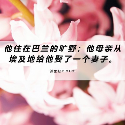 Picture 06 - 创 世 纪 21:21 CUVS - 他 住 在 巴 兰 的 旷 野 ； 他 母 亲 - Bible Verse Picture