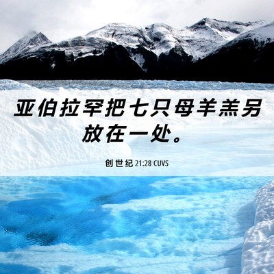 Picture 06 - 创 世 纪 21:28 CUVS - 亚 伯 拉 罕 把 七 只 母 羊 羔 另 放 - Bible Verse Picture