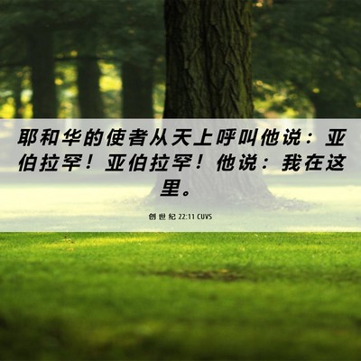 Picture 06 - 创 世 纪 22:11 CUVS - 耶 和 华 的 使 者 从 天 上 呼 叫 他 - Bible Verse Picture