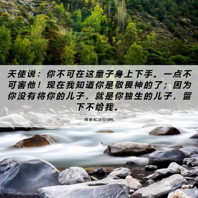 Picture 06 - 创 世 纪 22:12 CUVS - 天 使 说 ： 你 不 可 在 这 童 子 身 - Bible Verse Picture