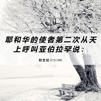 Picture 06 - 创 世 纪 22:15 CUVS - 耶 和 华 的 使 者 第 二 次 从 天 上 - Bible Verse Picture