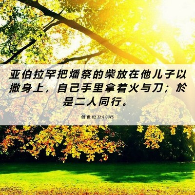 Picture 06 - 创 世 纪 22:6 CUVS - 亚 伯 拉 罕 把 燔 祭 的 柴 放 在 他 - Bible Verse Picture