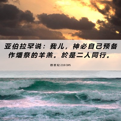 Picture 06 - 创 世 纪 22:8 CUVS - 亚 伯 拉 罕 说 ： 我 儿 ， 神 必 自 - Bible Verse Picture