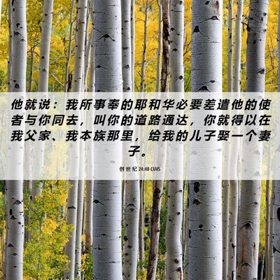 Picture 06 - 创 世 纪 24:40 CUVS - 他 就 说 ： 我 所 事 奉 的 耶 和 华 - Bible Verse Picture