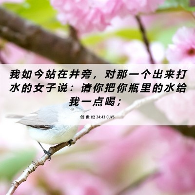 Picture 06 - 创 世 纪 24:43 CUVS - 我 如 今 站 在 井 旁 ， 对 那 一 个 - Bible Verse Picture