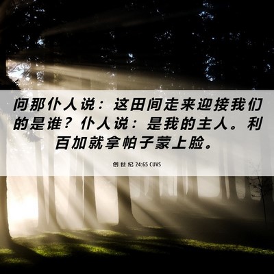Picture 06 - 创 世 纪 24:65 CUVS - 问 那 仆 人 说 ： 这 田 间 走 来 迎 - Bible Verse Picture