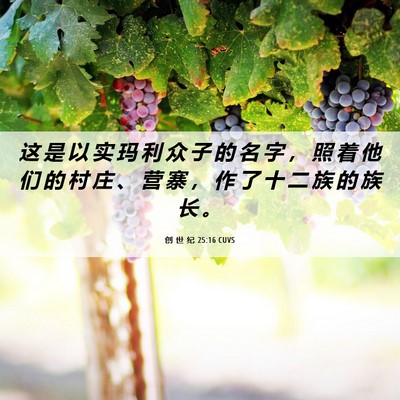 Picture 06 - 创 世 纪 25:16 CUVS - 这 是 以 实 玛 利 众 子 的 名 字 ， - Bible Verse Picture