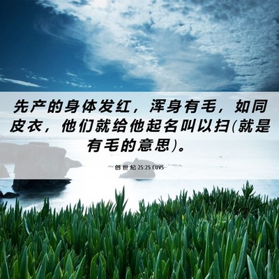 Picture 06 - 创 世 纪 25:25 CUVS - 先 产 的 身 体 发 红 ， 浑 身 有 毛 - Bible Verse Picture