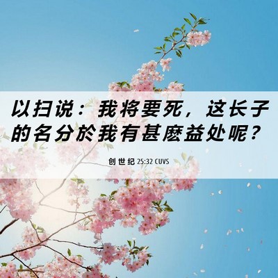 Picture 06 - 创 世 纪 25:32 CUVS - 以 扫 说 ： 我 将 要 死 ， 这 长 子 - Bible Verse Picture