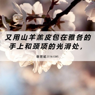 Picture 06 - 创 世 纪 27:16 CUVS - 又 用 山 羊 羔 皮 包 在 雅 各 的 手 - Bible Verse Picture