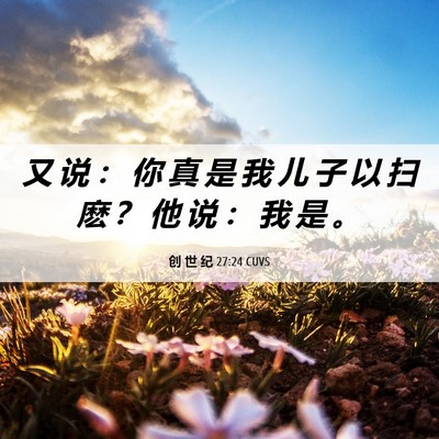 Picture 06 - 创 世 纪 27:24 CUVS - 又 说 ： 你 真 是 我 儿 子 以 扫 麽 - Bible Verse Picture