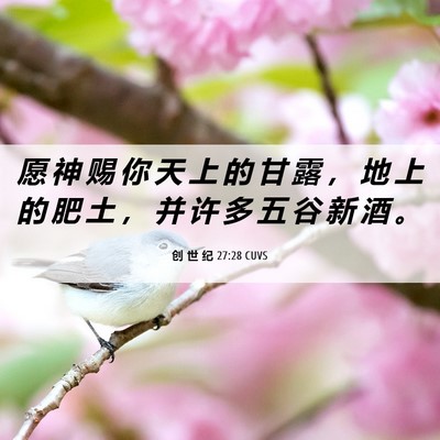 Picture 06 - 创 世 纪 27:28 CUVS - 愿 神 赐 你 天 上 的 甘 露 ， 地 上 - Bible Verse Picture