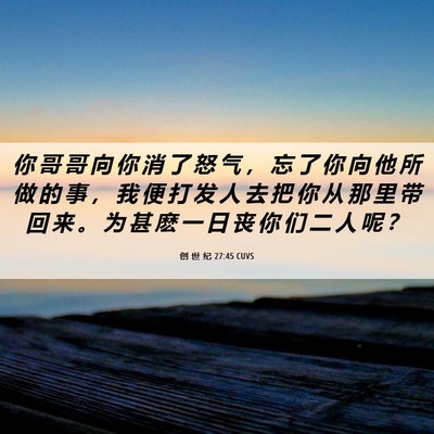 Picture 06 - 创 世 纪 27:45 CUVS - 你 哥 哥 向 你 消 了 怒 气 ， 忘 了 - Bible Verse Picture