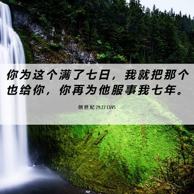 Picture 06 - 创 世 纪 29:27 CUVS - 你 为 这 个 满 了 七 日 ， 我 就 把 - Bible Verse Picture
