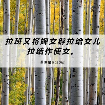 Picture 06 - 创 世 纪 29:29 CUVS - 拉 班 又 将 婢 女 辟 拉 给 女 儿 拉 - Bible Verse Picture