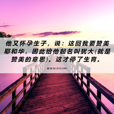 Picture 06 - 创 世 纪 29:35 CUVS - 他 又 怀 孕 生 子 ， 说 ： 这 回 我 - Bible Verse Picture