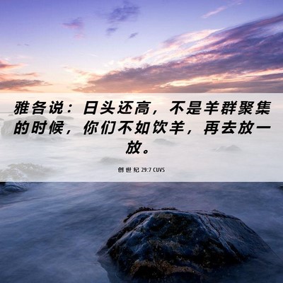 Picture 06 - 创 世 纪 29:7 CUVS - 雅 各 说 ： 日 头 还 高 ， 不 是 羊 - Bible Verse Picture